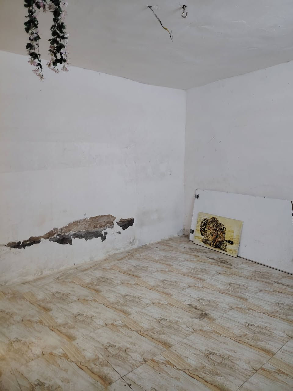 السلام عليكم
بيت للبيع المساحه ١٠٠متر طابق واحد بيت يحتوي#
(طرمة كبير وهول كبير وغرفة وملحقات حمام كبير خارجي)
عنوان البيت الدورة ابو دشير خلف مدؤسة الفيالق
*********** رجاء الشراي يدخل
