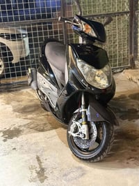 سكنس فحل • استخدام قليل • معدل