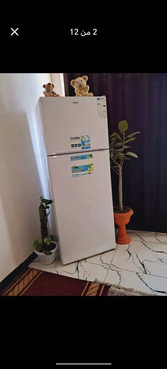 سلام عليكم ثلاجه حجم كبير للبيع صار اسبوعين أخذته ٧٥٠ ابيعه ٤٥٠ ويه توصيل ع فحص امانه
الله ورسوله حته كارتونه موجوده مالتها  مستعجل على بيعته اريد اشيل


**إذا كنت صاحب هذا الإعلان وتريد حذفه لأي سبب، رجاءا أرسل رسالة إلى الدعم الفني**