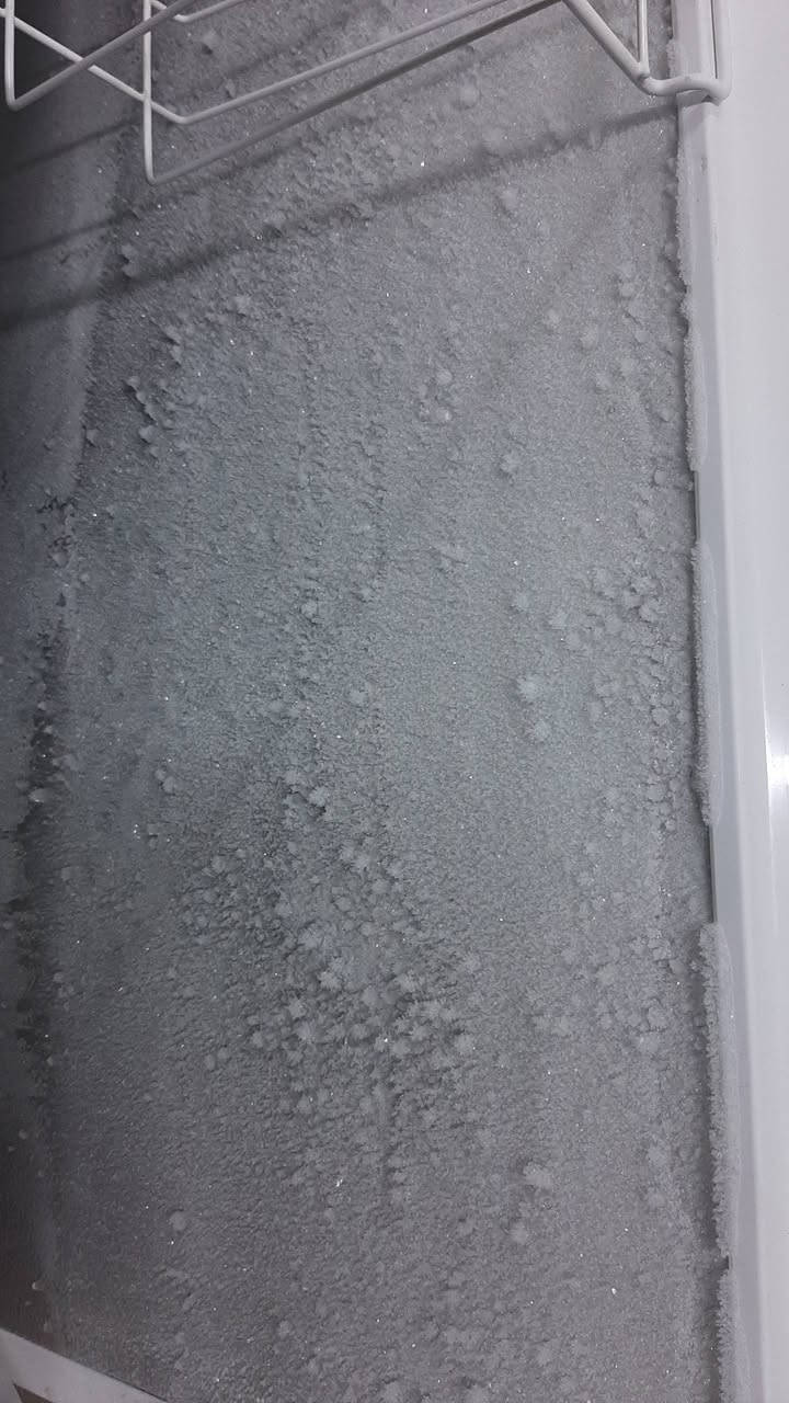 مجمده اوربي مشتغله موسم واحد حجم 24 اوربي بغاغ اقتصادي تصلح للمطاعم والاسواقات ولبيوت اذا مجمد بربع ساعا مرجوعه سبب البيع مكان ماعندي الله شاهد مشتريه ٨٥٠ وبيع ٣٥٠ بغداد الكراده رقم ***********
