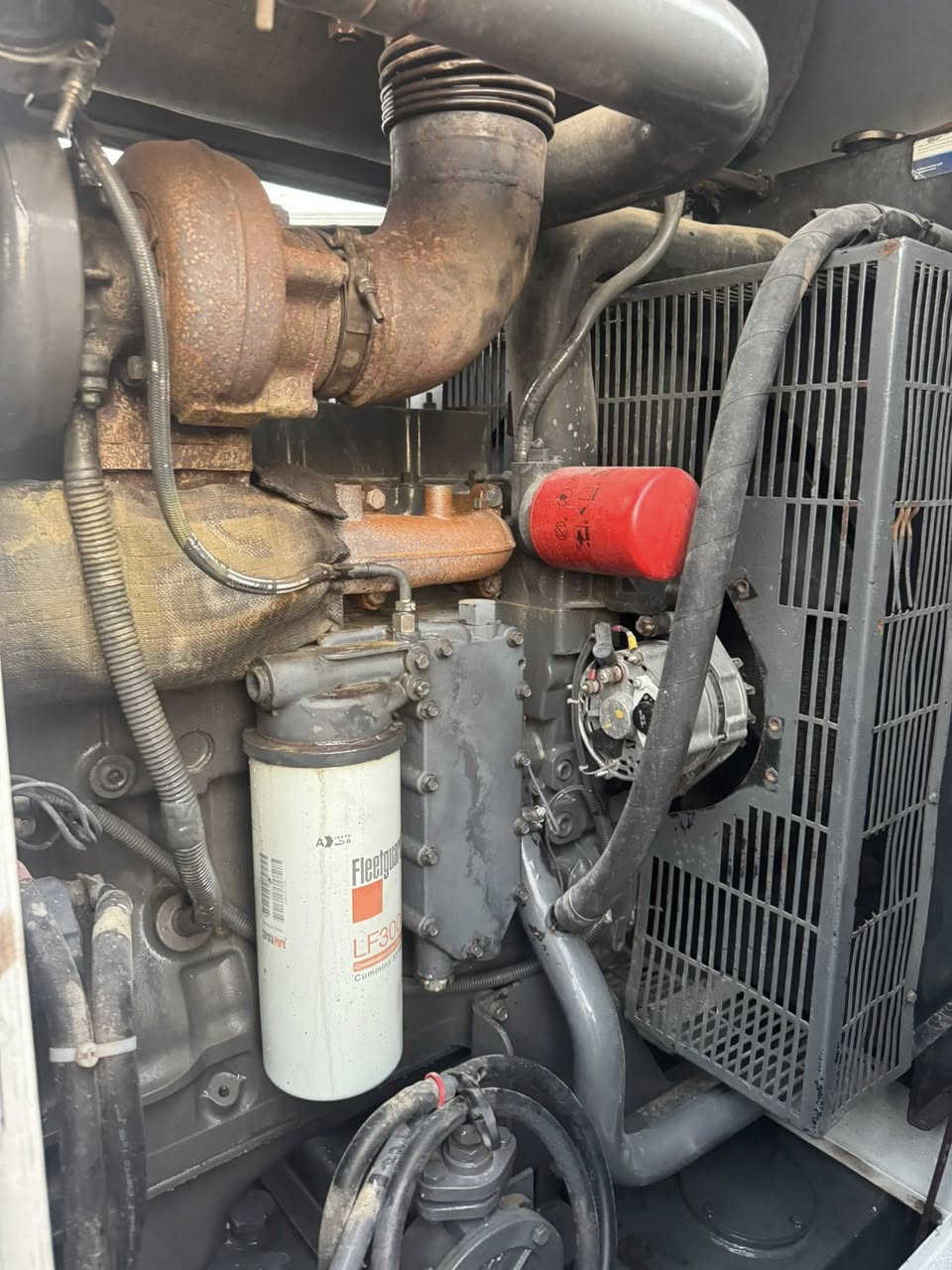 سلام عليكم 

موليدة كمنز اكريكو (١١٤)

١٢ ولف كلش حلوه 

(0️⃣ 1️⃣ 2️⃣ )كيفي بشرط حمل
 
موجود من كراج عدو خوشناو من اربيل طريق كركوك قشتبة

*********** واتس اب 
 *********** واتس اب
