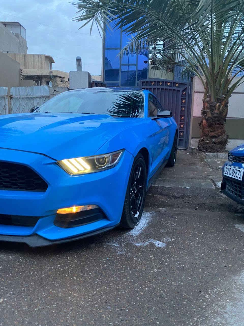 سلام عليكم
موستنك 
موديل 17
محرك V6
كير مكفول 
محرك مكفول 
شاصي مكفول 
لغد مكفول 
السياره بيهه مكينه وكير خرافيات 
ماشيه 55الف 
حادث مال امريكه فقط 
جاملغين وبنيد 
حادث سطحي 
بدون ايرباك فقط مال الرجل طاك 
السعر 149 وبيها مجال انشالله 
*********** للاتصال 
مكان السياره بغداد
