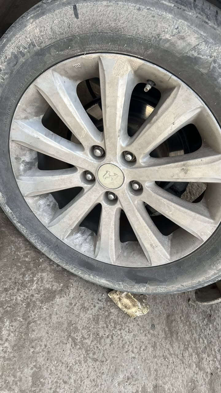 ٥ ويل كاب ١٧.   اريد مراوس ب١٦ عالي  البيهة تايرات ؟ ١٧/٥٥/٢٣٥  مكاني بغداد الشعب ولفديو موضح بي كلشي ؟


**إذا كنت صاحب هذا الإعلان وتريد حذفه لأي سبب، رجاءا أرسل رسالة إلى الدعم الفني**