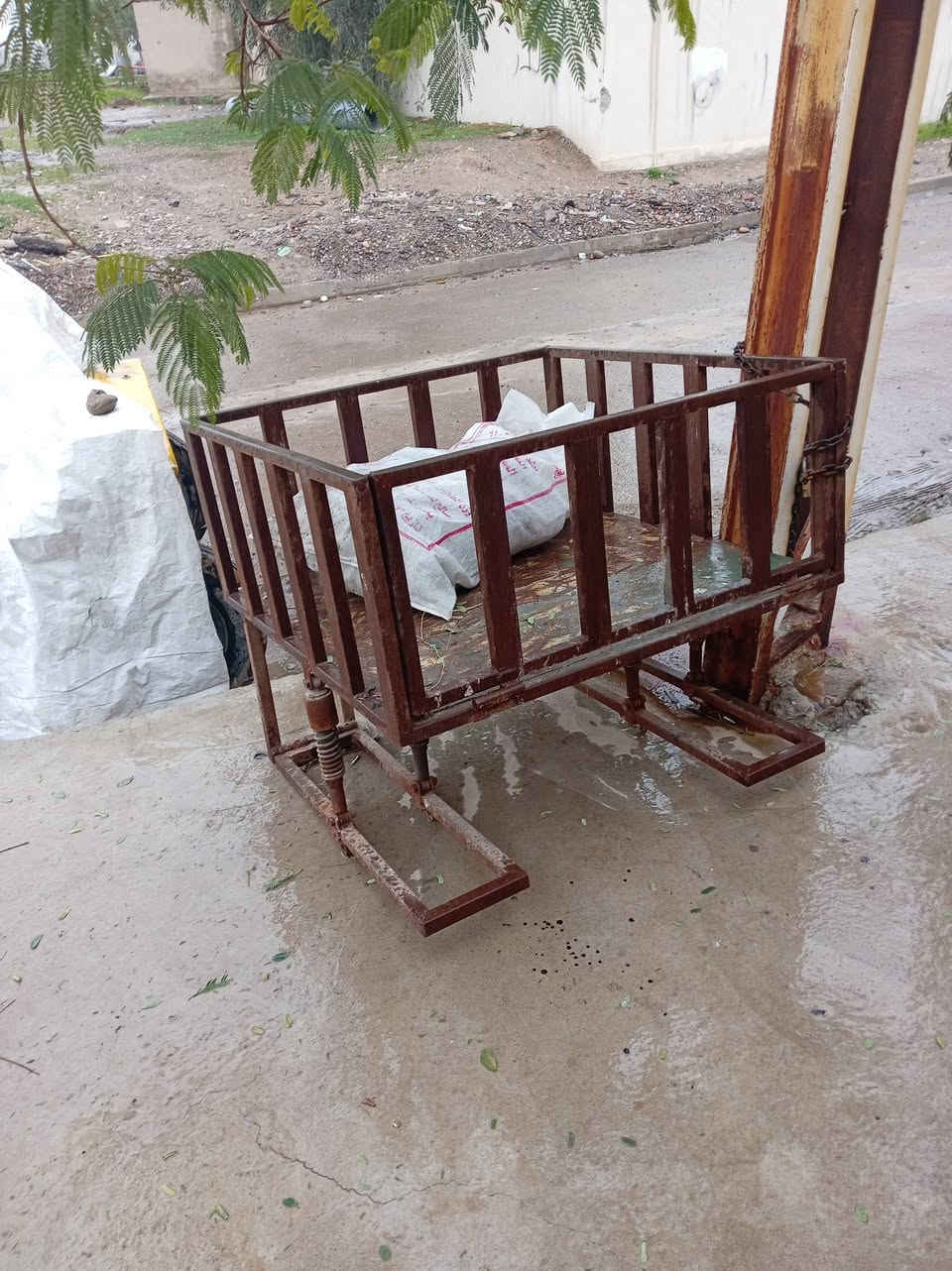 عربانه مال ماطوري راني فصال جديد السعر 70 الرقم  ***********
