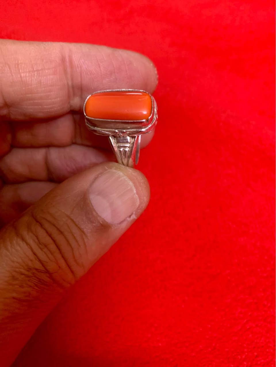 خاتم مرجان روعة صياغة يدوية بغداد, العراق


**إذا كنت صاحب هذا الإعلان وتريد حذفه لأي سبب، رجاءا أرسل رسالة إلى الدعم الفني**