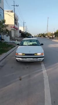 فول نضافه • ١٩٩٠ • بدون مصبوغ