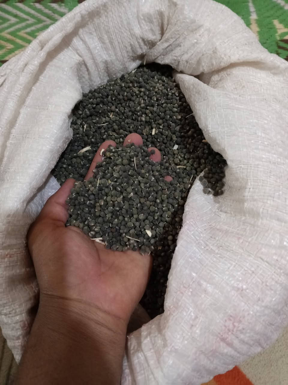 سلام عليكم يوجد الدينه بزر بانيه درجه وله  البيع سعر تصال عل رقم  ***********
