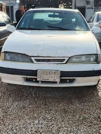 برنس • ١٩٩٤ • بابل القاسم