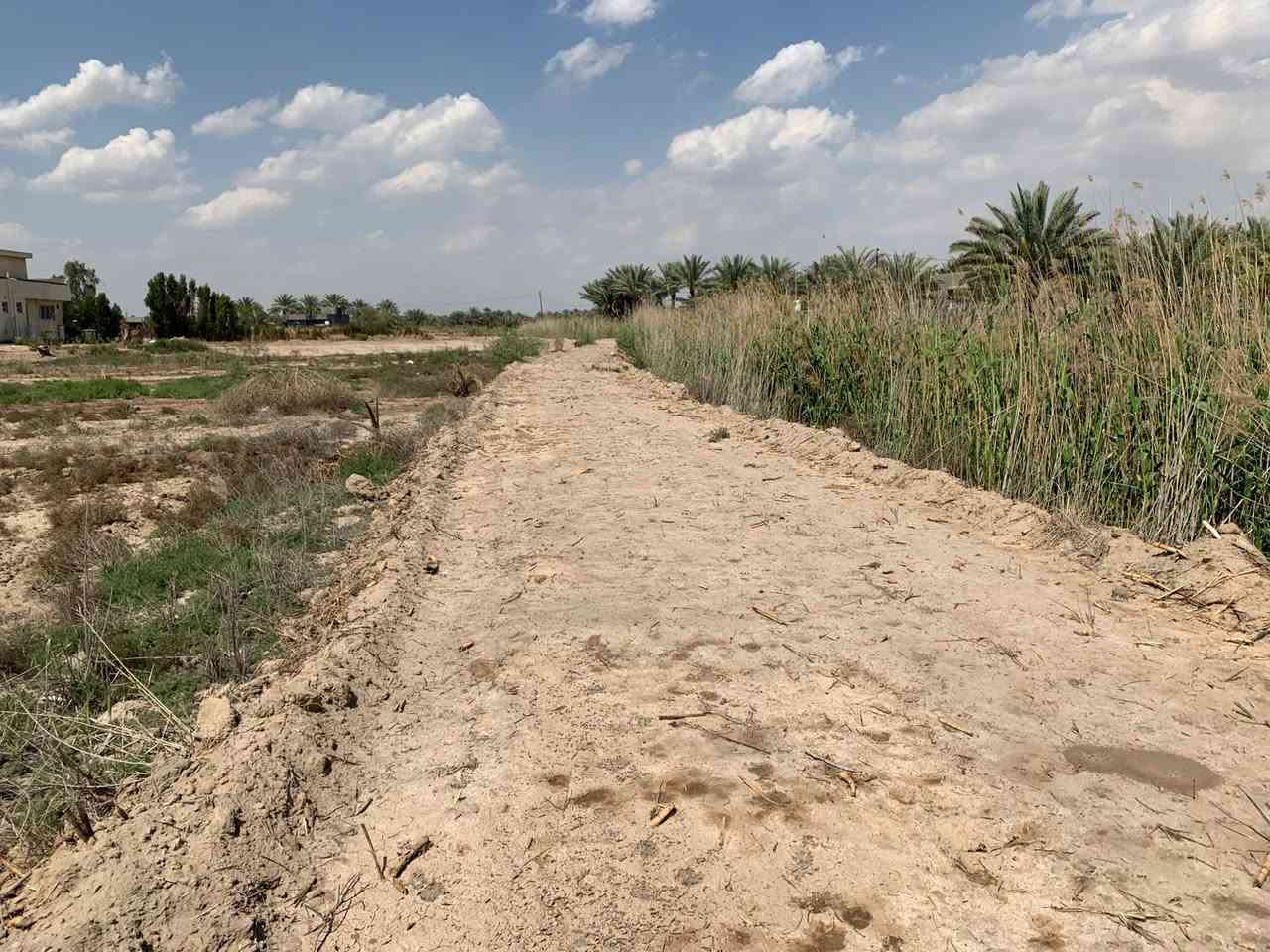 سلام عليكم دوانم البيع سند 24 كافة الخدمات ماء كهرباء تبليط يبعد عن تبليط، 90 متر طريق 5 متر/ مكان بابل ورديه يبعد كيلو  عن الإمام علي أبن الحسن ابو هدمه / ***********/ يصبح سكن/ ويصبح مزرعه/
