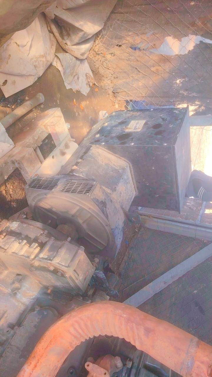 مولده بومه سكانيه أوربي ١٢٤ راس توليد ستانفورد بلادي مامفتوح للأستفسار ***********
