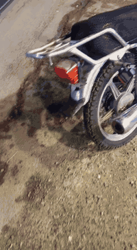 سلام عليكم ورحمه الله وبركاته اخواني الاعزاء عندي هاي دراجه للبيع مكاني بغداد سعر الدراجه 400 وبيهه مجال لطيبين وهاذ رقمي للتواصل مع ***********
