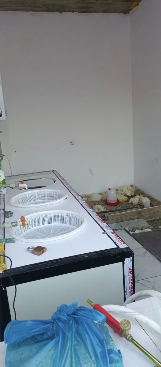 للبيع محل دجاج مع محتوياته كامل
العنوان 58 مقابيل دوميز للاستفسار الاتصال على الرقم 
***********
***********
