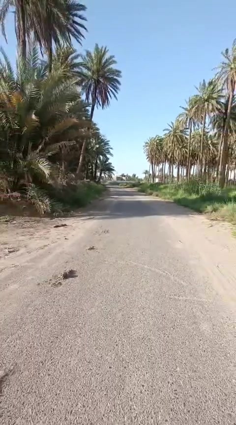 دار للبيع كربلاا طويريج الزجيبه خاف حي العسكري مساحه 1150 مساحة البناء 250 السعر 155 وقابل للتفاوض باقي تفاصيل موضح بالفيديو لتواصل *********** واتس
