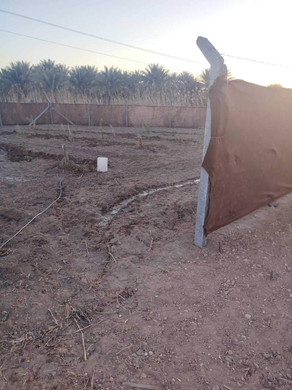 ارض للبيع في كربلاء سند 25 
مساحتها  500 متر
طابوا زراعي سند 25 كربلاء طريق بغداد عمود 168 تبعد عن الامام 8 كيلو تبليط كهرباء ماء اسالة
السعر ٣٥


**إذا كنت صاحب هذا الإعلان وتريد حذفه لأي سبب، رجاءا أرسل رسالة إلى الدعم الفني**