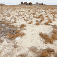 طريق البوراشد • دونم ونص • زراعي