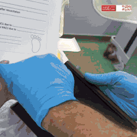 کوردی-عربي
لە ئازارەوە بۆ هیوا، و لە لەدەستدانی دووبارەوە بۆ دووبارە لەدایکبوونەوە لە سەنتەری رووح ئەلحەیات، ئێمە تەنها چارەسەر پێشکەش ناکەین. ئێمە یاوەری چیرۆکەکان دەکەین تا کۆتاییەکی خۆشیان پێ دەبەخشێت.
چارەسەرخوازە 39 ساڵانەکەمان دوای 22 ساڵ هاوسەرگیری و 8 لەبارچوونی ئازاربەخش، دوو جار خەونی دایکایەتی لە سەنتەرەکەمان هاتەدی، سەرەتا لەگەڵ لەدایکبوونی کوڕەکەی ساڵ و نیوێک لەمەوبەر و ئەمڕۆش لەگەڵ لەدایکبوونی کچەکەی کە دڵخۆشی بۆ سەنتەرەکەمان هێنا.

ناونیشان/ هەولێر شەقامی 30 مەتری نزیک کونسوڵخانەی ئێران.
*********** - ***********
………………………………………

من الألم إلى الأمل، ومن الخسارات المتكررة إلى ولادة الحياة من جديد في مركز روح الحياة، نحن لا نُعالج فقط… بل نرافق القصص حتى نهايتها السعيدة.
مراجعتنا ذات الـ٣٩ عامًا، بعد ٢٢ سنة زواج و٨ إسقاطات مؤلمة، حققت حلم الأمومة مرتين في مركزنا، أولاً بولادة ابنها قبل سنة ونصف، واليوم بولادة ابنتها التي أشرقت بسعادة في مركزنا.

العنوان / أربيل - 30 م بالقرب من القنصلية الإيرانية
*********** - ***********
