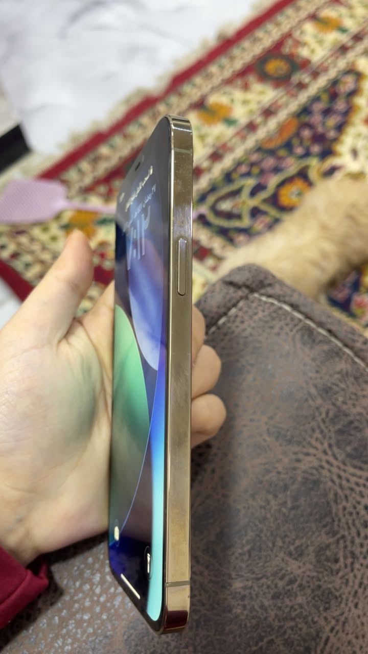 12 برو ماكس ذ256 بطارية 100 مبدل شاشة اصلية وبطارية الضهر مكسور مثل مموضح بالصور سعره 250 قفل مابي مجال نهائياً


**إذا كنت صاحب هذا الإعلان وتريد حذفه لأي سبب، رجاءا أرسل رسالة إلى الدعم الفني**