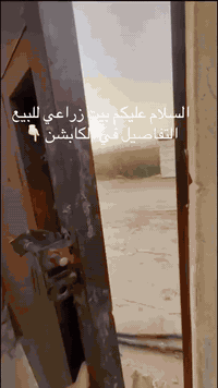 السلام عليكم  بيت زراعي للبيع مع أثاث كامل مساحته  350
عنوان / بغداد مقابيل التأميم قرب فلكة سلمان
(بالخدمي مال بانزين خانة بشارع خدمات كلكسي
بنفس الشارع كله كبل )
البيت صاير ركن عالشارع
يحتوي البيت على ٢ غرف نوم
٢ مطبخ (حار وبارد )
صالة
استقبال
٢ حديقة
كراج على طول البيت
الواجهيه ١٤ والنزال ٢٥
الأثاث يشمل غرف النوم
تخم عدد ٢
المطبخ كامل ثلاجة وطباخ ومايكرو وكاونتر ومجمدة سبالت عامودية وجدارية
كاميرات مراقبة
بلازمات
تانكي مي ٣
سخان
دبات غاز
طباخ وفرن وشافطة ممستخدمات
مطبخ حار وبارد
السعر على الواتساب ***********
