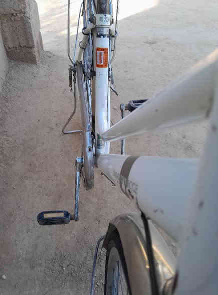 السلام عليكم للبيع بايسكل حجم 27جاهز مابي اي نقص العنوان واسط العزيزية مجاور محطة ابو نور القديمة السعر 60 وبي مجال اتصل وبيك خير وادلل الاستفسار الاتصال على الرقم ***********
