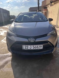 كورلا امريكي • ٢٠١٨ • خانقين