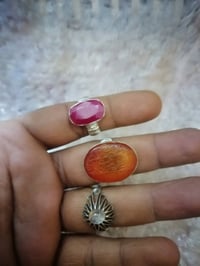 وجبة محابس كلمن وسعره الاستفسار عبر الاتصال او خاص 07718706964