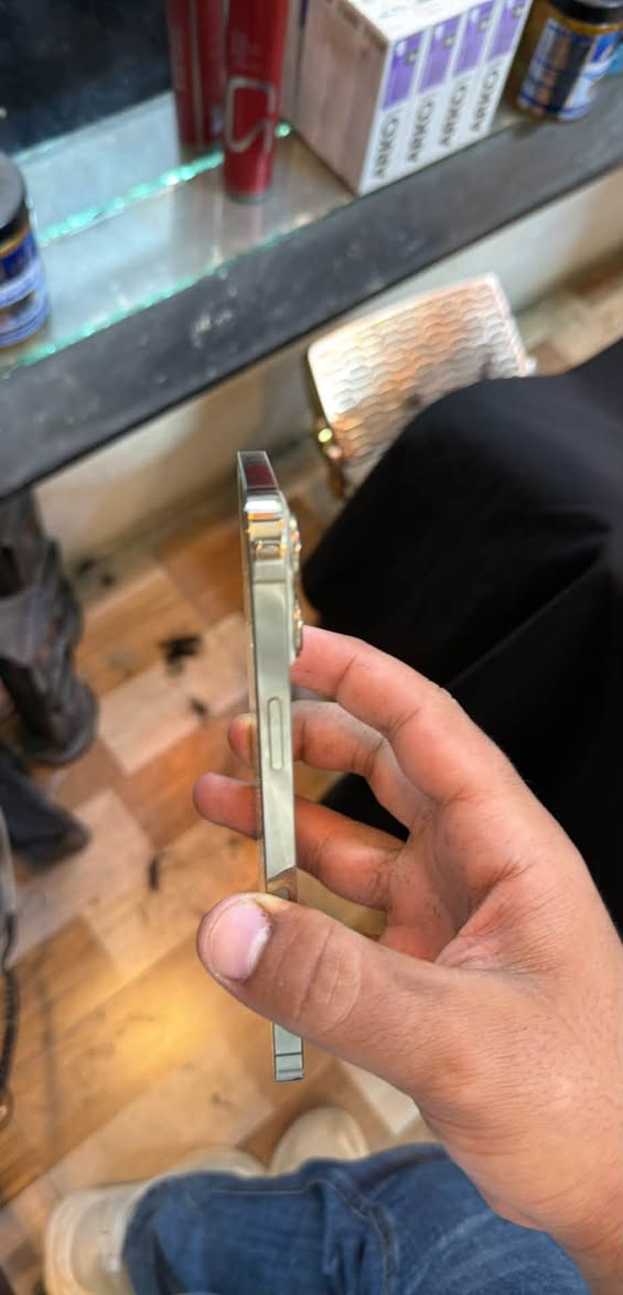 ١٣ برو ماكس 256 تك جلخ ما بي وقع بالماي صارت الشاشة خضراء كلا شغال  ***********
