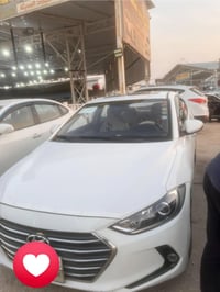 النترا • ٢٠١٨ • وارد خليجي