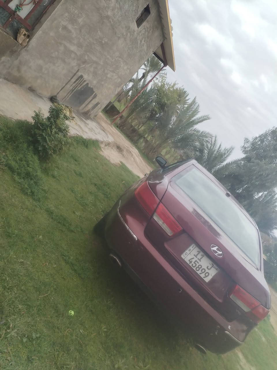 *********** تفاصل ع رقم
