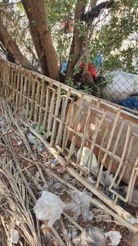 محجر • ٦م و٤م • العراضات