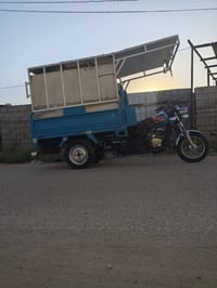 مديل 20 • باسمي • مكفول