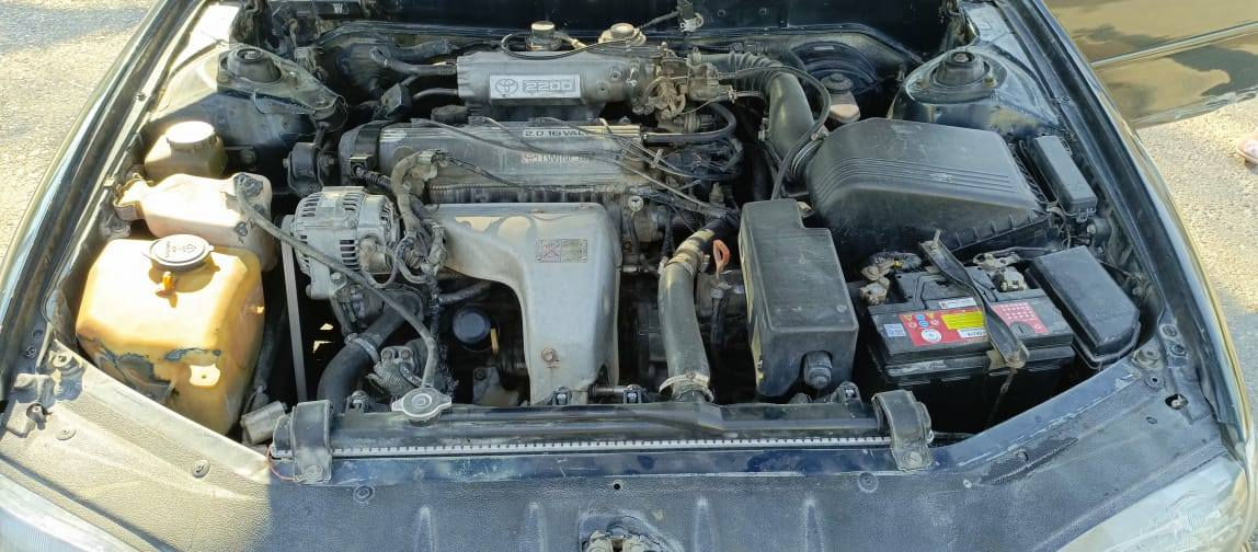 السلام عليكم
من رخصت مدير الكروب
كامري موديل ١٩٩٢ رقم بغداد تخم تاير بطاريه جديده كير محرك مكفول تبريد محرك ابو الگف للتواصل والاستفسار ع رقم صاحب السياره *********** مكان السيارة فلوجه او الكرمه
