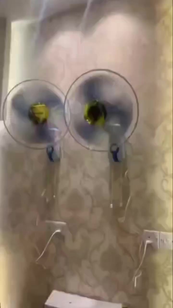 مروحه جداريه ماركة شامي الاصليه💯
الكارتون يحتوي على قطعتين ✔️
للحجز والاستفسار يرجى مراسلة الصفحه📝
#بنكه #بنكة #بنكات ##بنكات_جدارية


**إذا كنت صاحب هذا الإعلان وتريد حذفه لأي سبب، رجاءا أرسل رسالة إلى الدعم الفني**