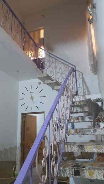 بيت في حي النصر 
قرب  ملعب كربلاء الدولي ....
المساحة (١٠٠متر ) (٥×٢٠)..
طابقين ...
الطابق الارضي (استقبال+ مطبخ+ صالة+صحيات )
الطايق الثاني (غرفة كبيرة + +صحيات )
البيت بأسمي(***********)
