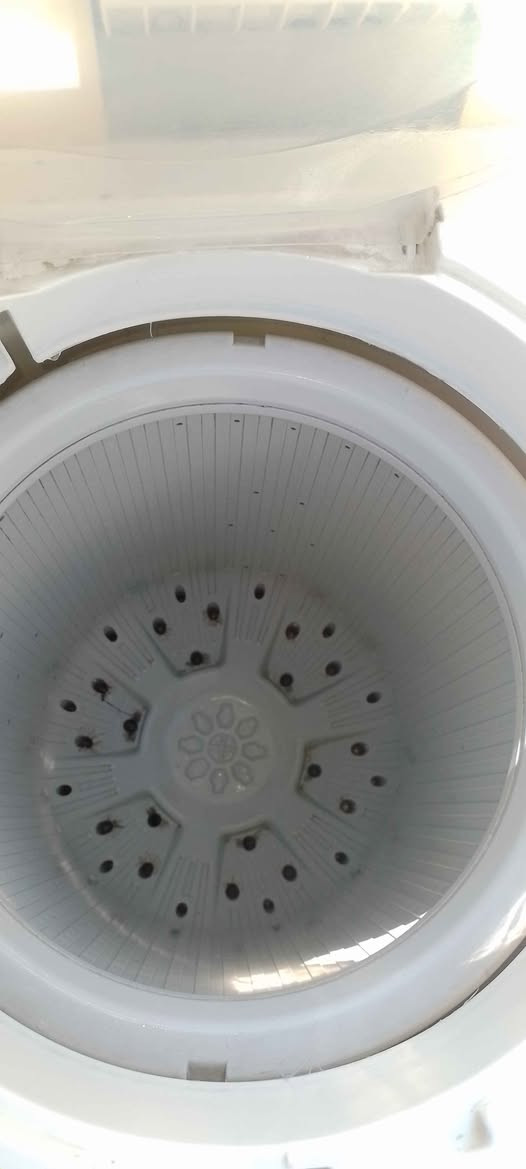 غساله الجي كوري اصلي نضيفه وكله شغاله بغداد, العراق


**إذا كنت صاحب هذا الإعلان وتريد حذفه لأي سبب، رجاءا أرسل رسالة إلى الدعم الفني**