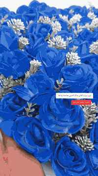 تم تزين سياره الغالي شاكر الحربي بمناسبة زواجه المبارك 💍 المصور محمود ...