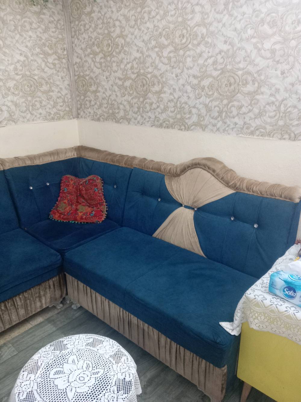 تخم ديوان