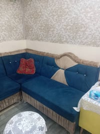 تخم ديوان