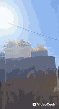 السلام عليكم
الدار للبيع بيع مستعجل المساحة 100م زراعي حي دجلة خلف المعارض شارع أبو مرتضى الدلال داخل الفرع متوفر كافة الخدمات بيع مع الأثاث أو بدونه للاستفسار أكثر

 ‭0770 420 4741‬
