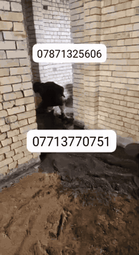 سلام عليكم نجارينه حدادينه ابو بيت هاذه شقلنه اليوم شقل مرتب علا قياسات المطلوبه يلي عنده ارضيه رباط تصليطه صطح حنه بلخدمه***********داخل البصره شغل درجه اولى سعر مناسب ***********
