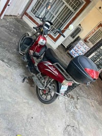 هارلي • ٢٠٢٤ • بطاريات نص عمر