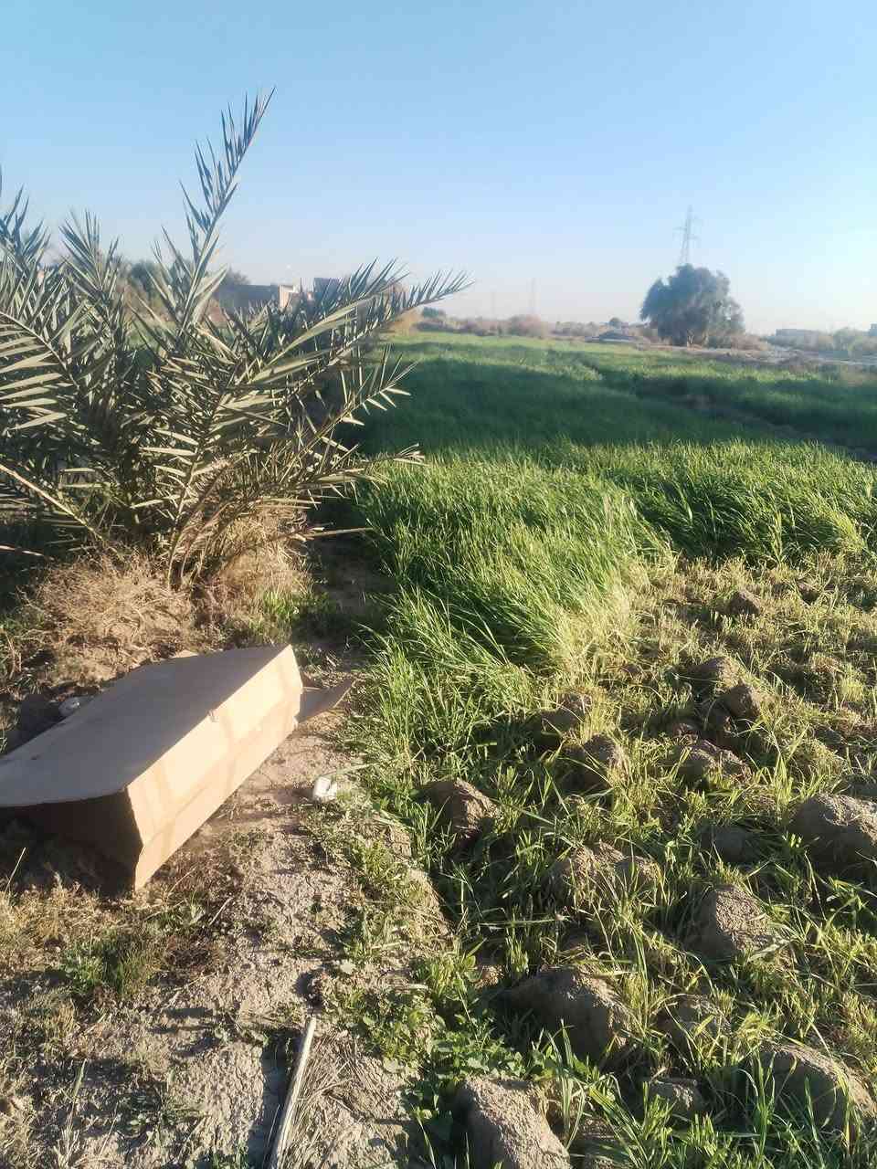 ياالله
ارض اللبيع  ارض زراعيه عقد 35 بسمنه
اكثر من ثنين دونم 
متوفر بيه كهربا 
متوفر بيه ماطور ماي كهربايئ مع صواند مع برينه 
عنوان الحمزه الشرقي  الجعفريه 
الستفسار ع الرقم *********** ايضن الخاص مفتوح
