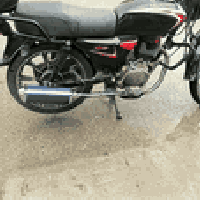 مرقم كامل • بي سنوية • لوحات للبيع