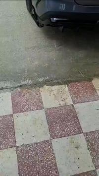 اكسسوارات BYD Qin L • ارضيات سيليكون • اليادودة عمان