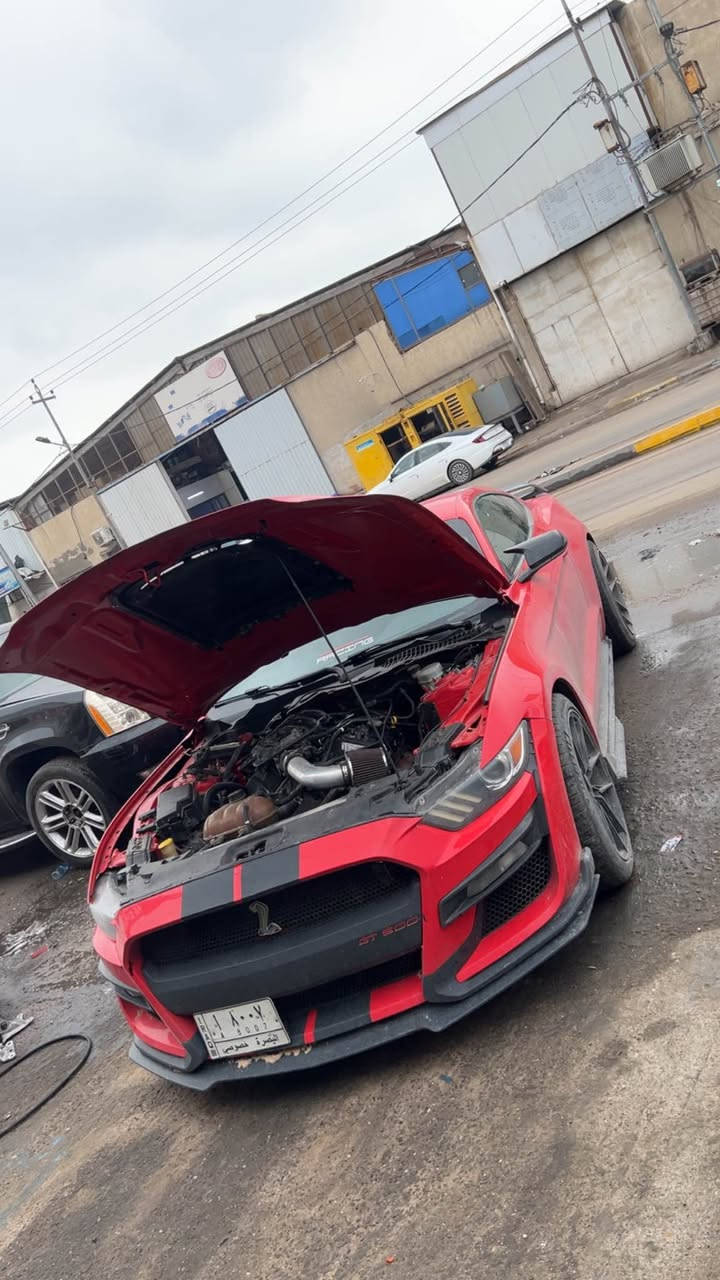 فورد موستنك 2017 كير عادي نص مواصفات قطعتين صبغ محرك وكير جدد عينة وصينية جدد حدادة امامية خلفية جديد ويل  فيرادة اصلي تخم تاير جديد حادثها جاملغ وبنيد فقط محدثة شيلبي بلكامل كزوز بورلا حلوك كزوز كورسا سيارة جاهزة ومرتبة عليها شوتة عليها برمجة سيارة حيل نشطة نواقص خفيفة يطيح من سعر لسيارة رقم بصرة مميز تحويل ثاني يوم السعر 115 وبيها مجال للشراي والنواقص يطيحن من سعرها مراوس عادي اراوس للاستفسار *********** البصرة, العراق
