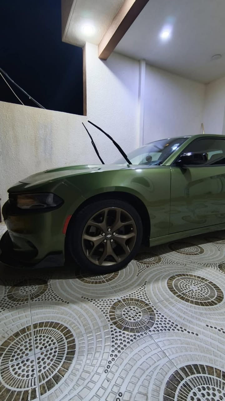 السلام عليكم اخوان جارجر للبيع موديل ١٩جيتي رقم اربيل بيها جاملغ خلفي كلير فقط والباقي كفاله دينار متصرف عليها مكانها موصل سعرها (٢٣٠)قفل(***********) (***********)
