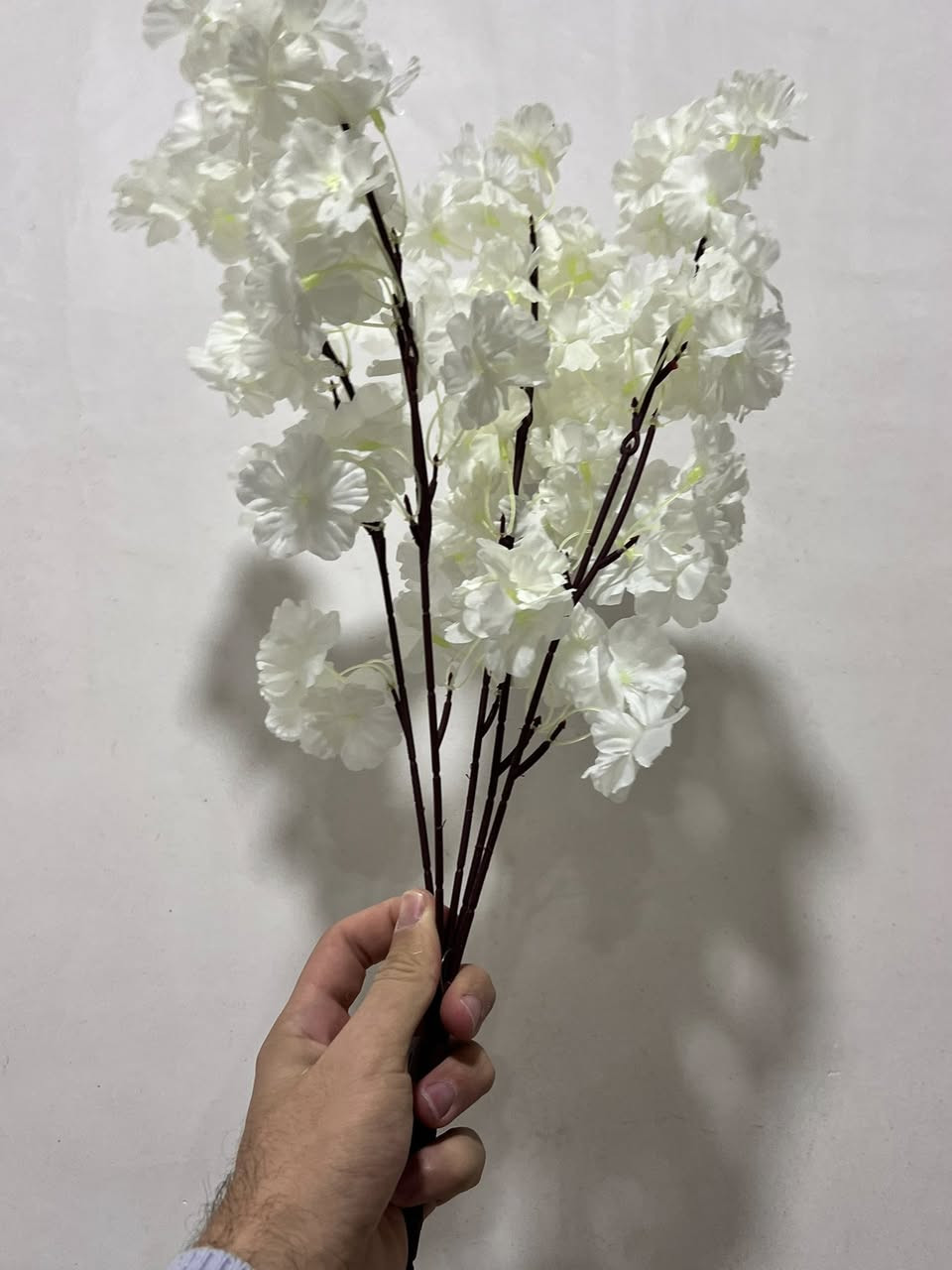 متوفر ورود حسب التصميم اكو جملة ومفرد لاستفسار اتواصلو واتساب ***********
