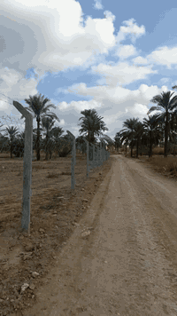 دونم • طابو صرف • المدائن شارع سيد علي