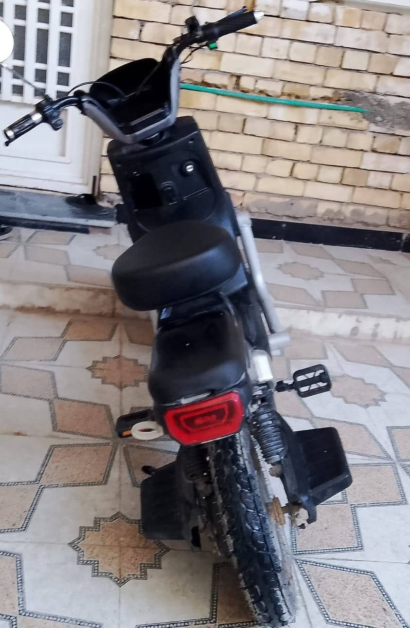 دراجة شحن للبيع بطاريات جدد سرعته80 سعر 175وبيه مجال كربلاء المقدسه حي الاطارات


**إذا كنت صاحب هذا الإعلان وتريد حذفه لأي سبب، رجاءا أرسل رسالة إلى الدعم الفني**