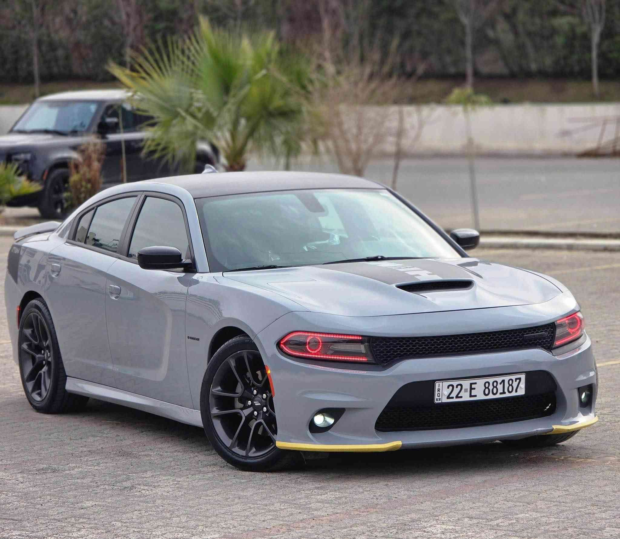 سلام عليكم 🌸
دوج جارجر RTMaxفوول موصفات بدون سلايد
سيارة بية واحد جاملغ صبغ شبر باب بدون دواخل 
سعر ٢٦٨ ورقةشوية بي مجال
بدون ارباگ سيارة كلها بشرت مابي أي نواقص
رةقم 📞 *********** واتساب ڤايبر أربيل, العراق
