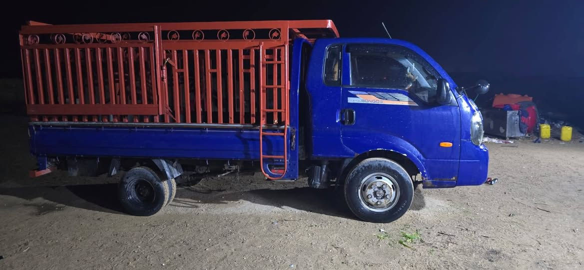 سلام عليكم كيا حمل فحل موديل 2015
رقمه بصره السعر 115وبيه مجال  ومكان سياره كربلاء رقم البايل 
***********
